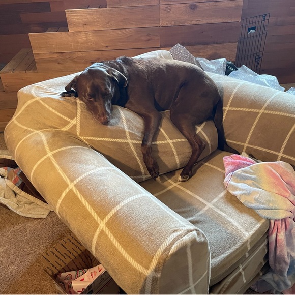 Pop up share shows! - Picture 7 of 15